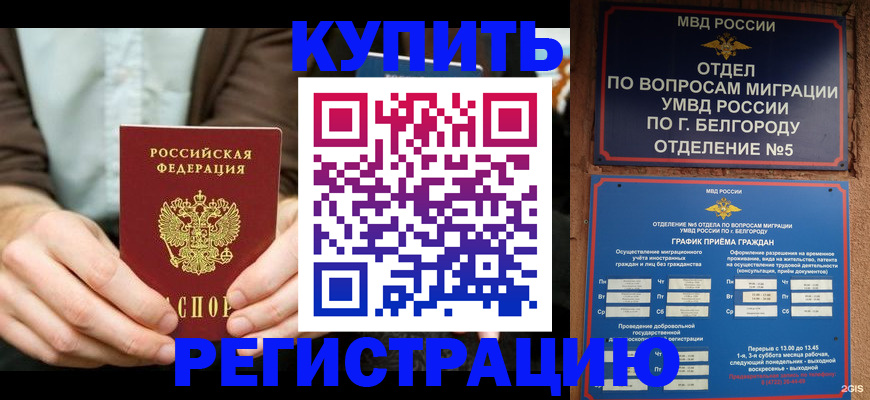 прописка 2025 в Почепе